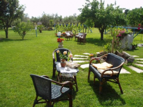 Il Bouganville Oristano